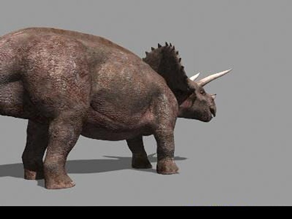 jp triceratops 3d obj - True Jp Triceratops Obj by Virtual creator